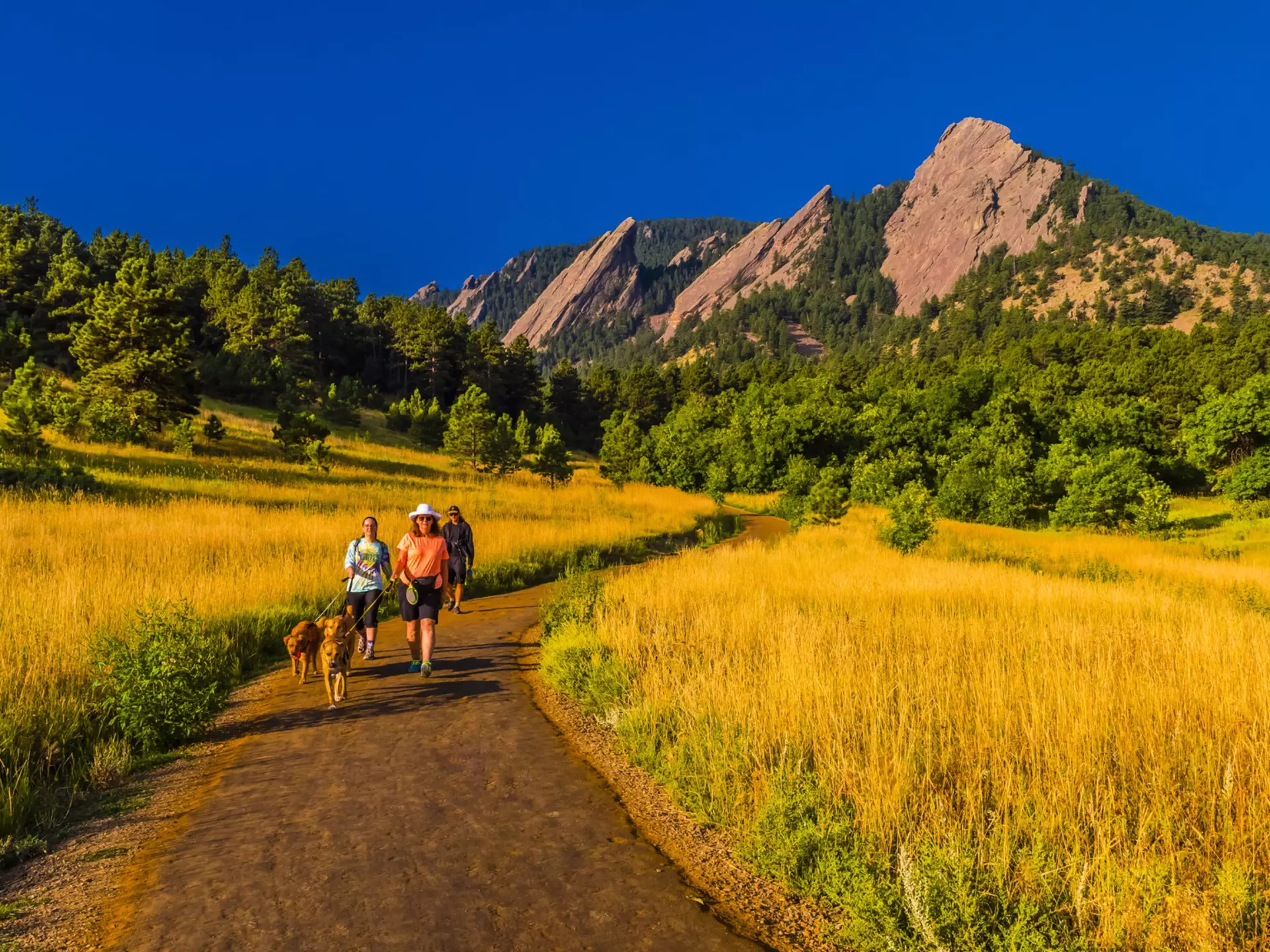 Hikers walking their dogs in front of the Flatirons rock formations