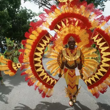 A man participating in a street parade wears a red, yellow and orange outfit covered in feathers.