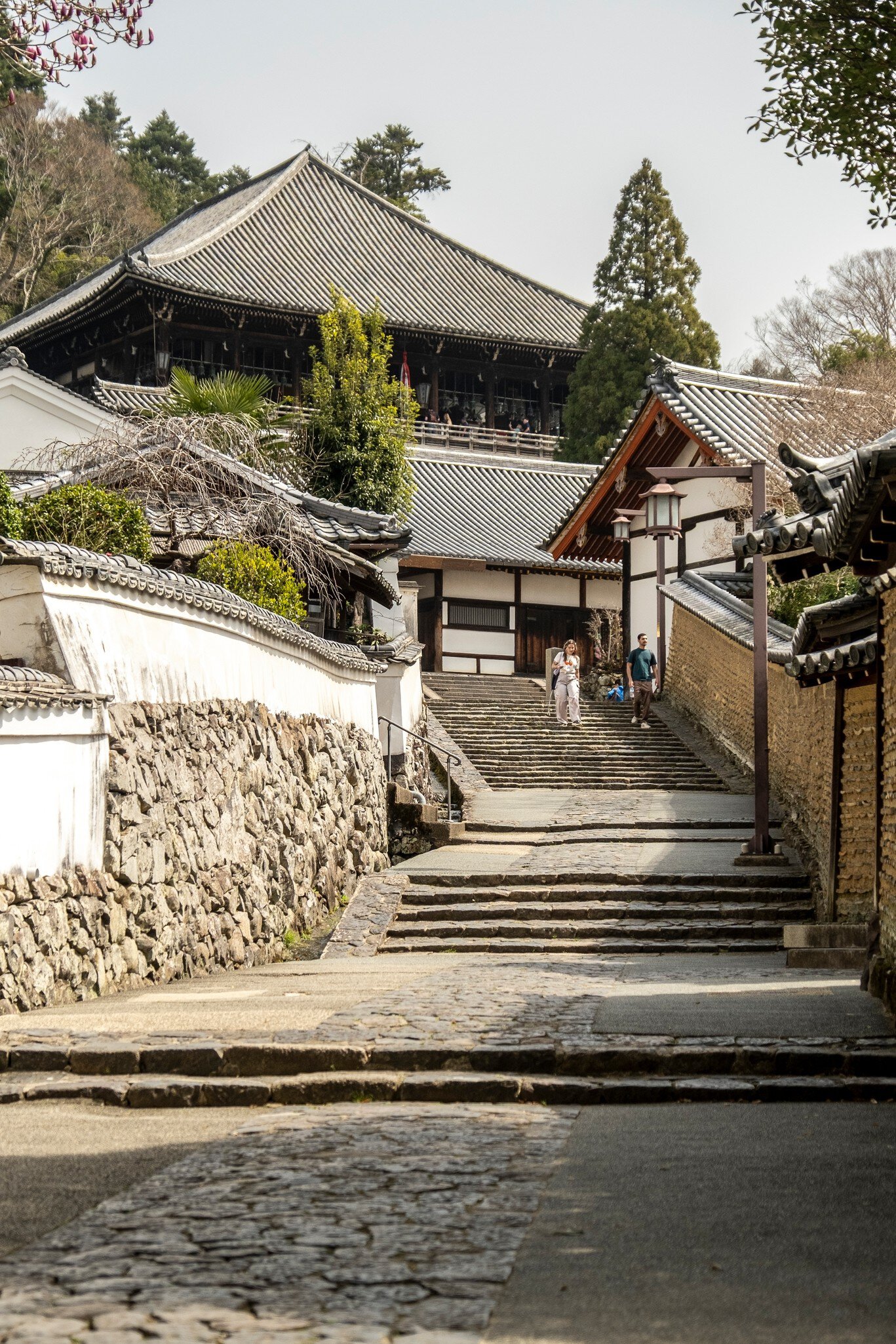 Nara, Japan - March 25, 2025: visitors walking down historic street from Nigatsu-do Hall at Todai-ji Temple., License Type: media, Download Time: 2026-06-02T20:23:09.000Z, User: LP_NZhan, Editorial: true, purchase_order: 65050 - Digital Destinations and Articles, job: App content, client: Lonely Planet App, other: Nadine Zhan 