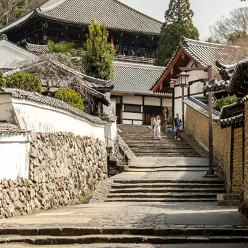 Nara, Japan - March 25, 2025: visitors walking down historic street from Nigatsu-do Hall at Todai-ji Temple., License Type: media, Download Time: 2026-06-02T20:23:09.000Z, User: LP_NZhan, Editorial: true, purchase_order: 65050 - Digital Destinations and Articles, job: App content, client: Lonely Planet App, other: Nadine Zhan 