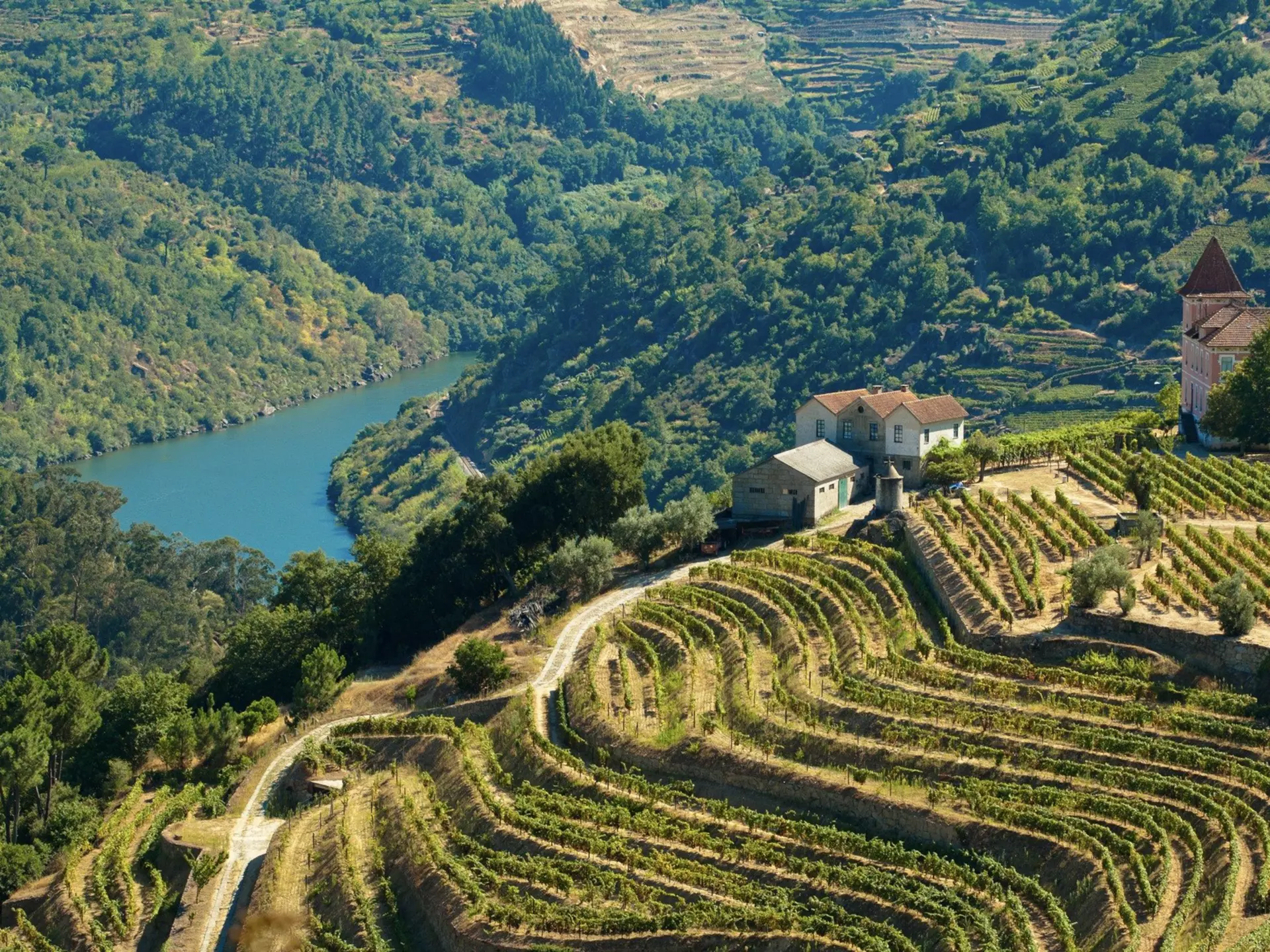 One of the world’s most fabled wine regions, the Douro Valley is easily accessible. iStock
