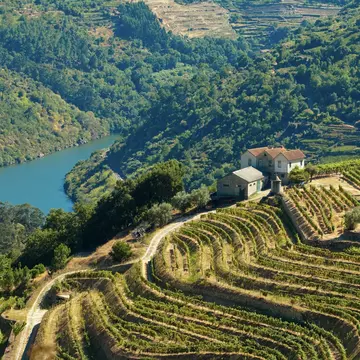 One of the world’s most fabled wine regions, the Douro Valley is easily accessible. iStock