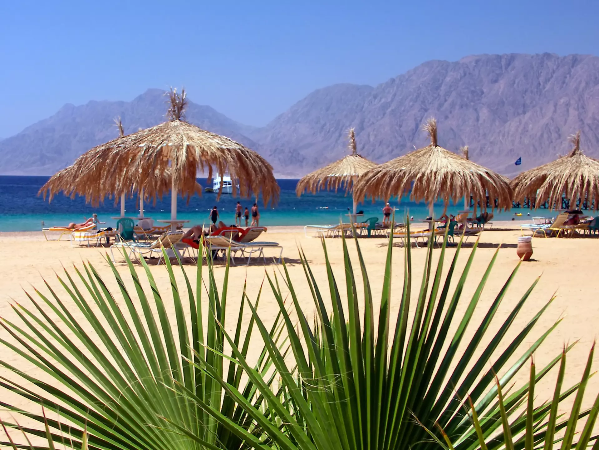 People bask on a sandy beach on the Red Sea Coast of Egypt. Beneda Miroslav/Shutterstock