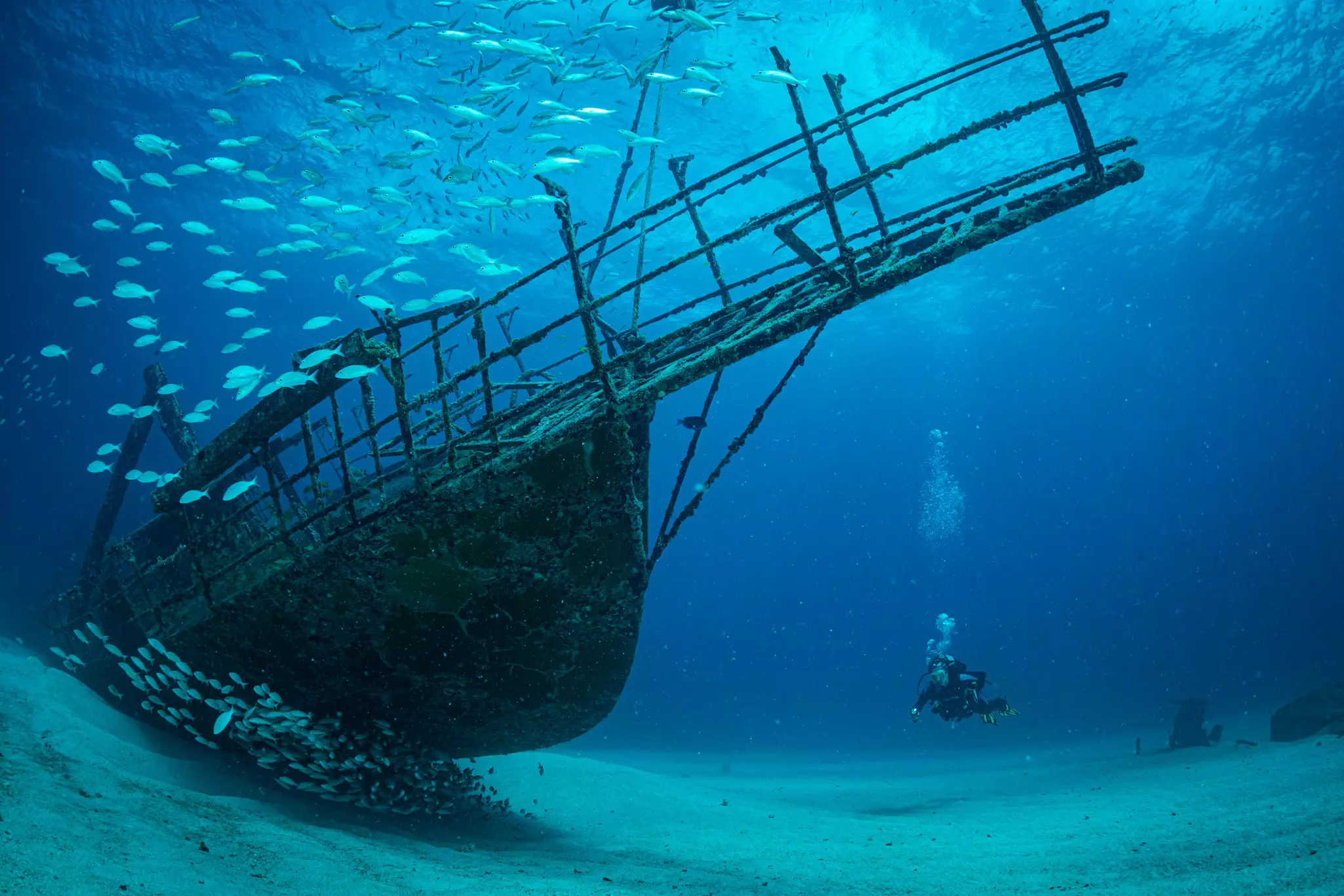 A scuba diver descends to the seafloor near the prow of a shipwreck, as fish swim.
