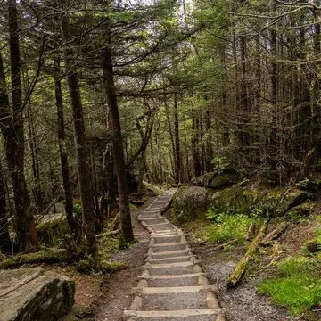 Great Smokey Mountains National Park, North Carolina, USA - May 29, 2024: Hiking trails in the Smokey Mountains are huge tourist attraction. This park is the most visited in USA. , License Type: media, Download Time: 2025-03-11T20:12:33.000Z, User: rhylton_redventures, Editorial: false, purchase_order: 56530 - Guidebooks, job: Lonely Planet , client: Lonely Planet  WIP, other: Rhianydd Hylton