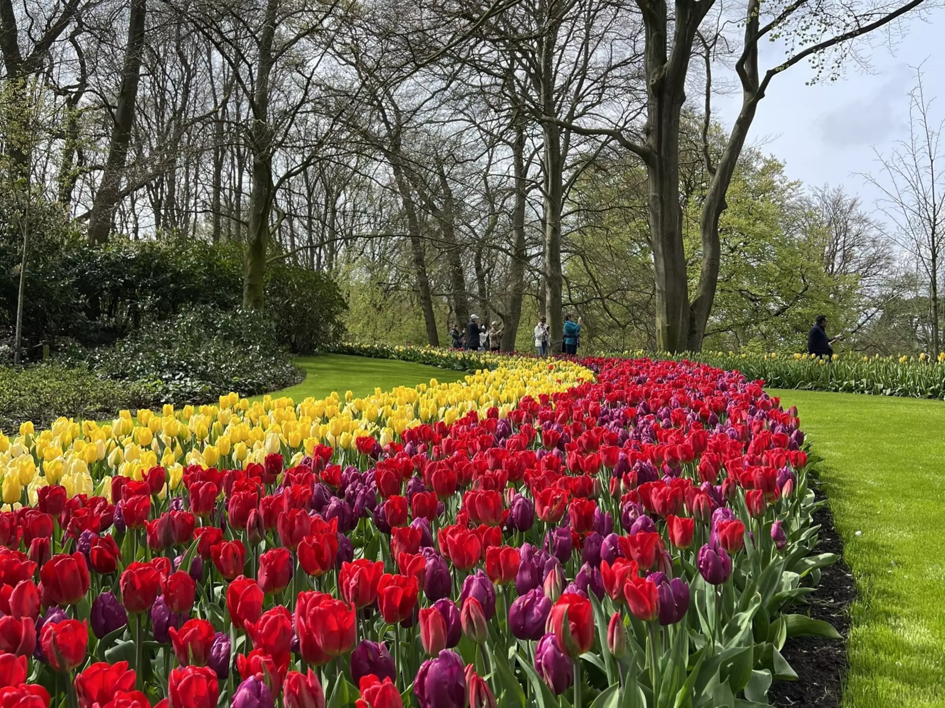Amsterdam Tulip Festival will take place in Tulip Garden Keukenhof in 2023. Inspiring gardens that will surely spark creativity in your own yard, largest garden in the world with tulips and flowers, License Type: media, Download Time: 2025-12-12T11:40:23.000Z, User: pinkjozie64, Editorial: false, purchase_order: 65020 - Marketing or Sales - this includes sponsored articles, job: Global Publishing WIP (for books) , client: Amsterdam 14, other: Jo-anne Riddell