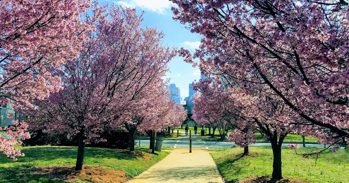 10 free or cheap things to do in Charlotte, North Carolina
