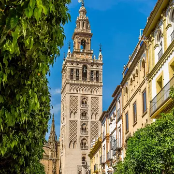 La Giralda, the bell tower of Seville's Cathedral, framed by some orange trees in Seville, Spain.