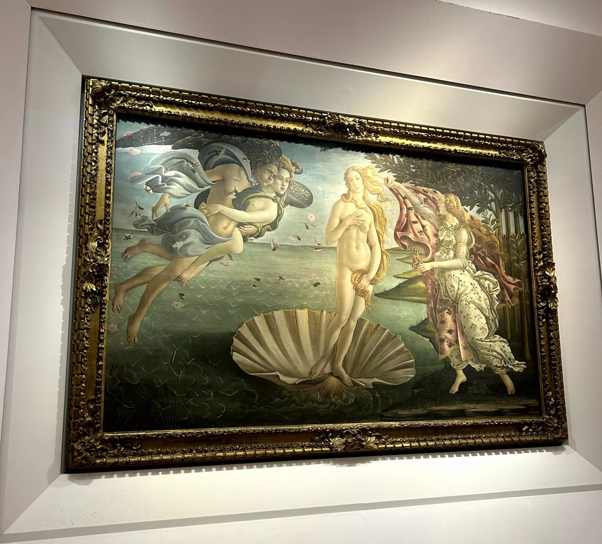 The birth of Venus by Botticelli is one of the masterpieces in the Uffizi © Conall Molloy / Lonely Planet