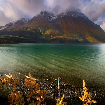 Kluane Morning