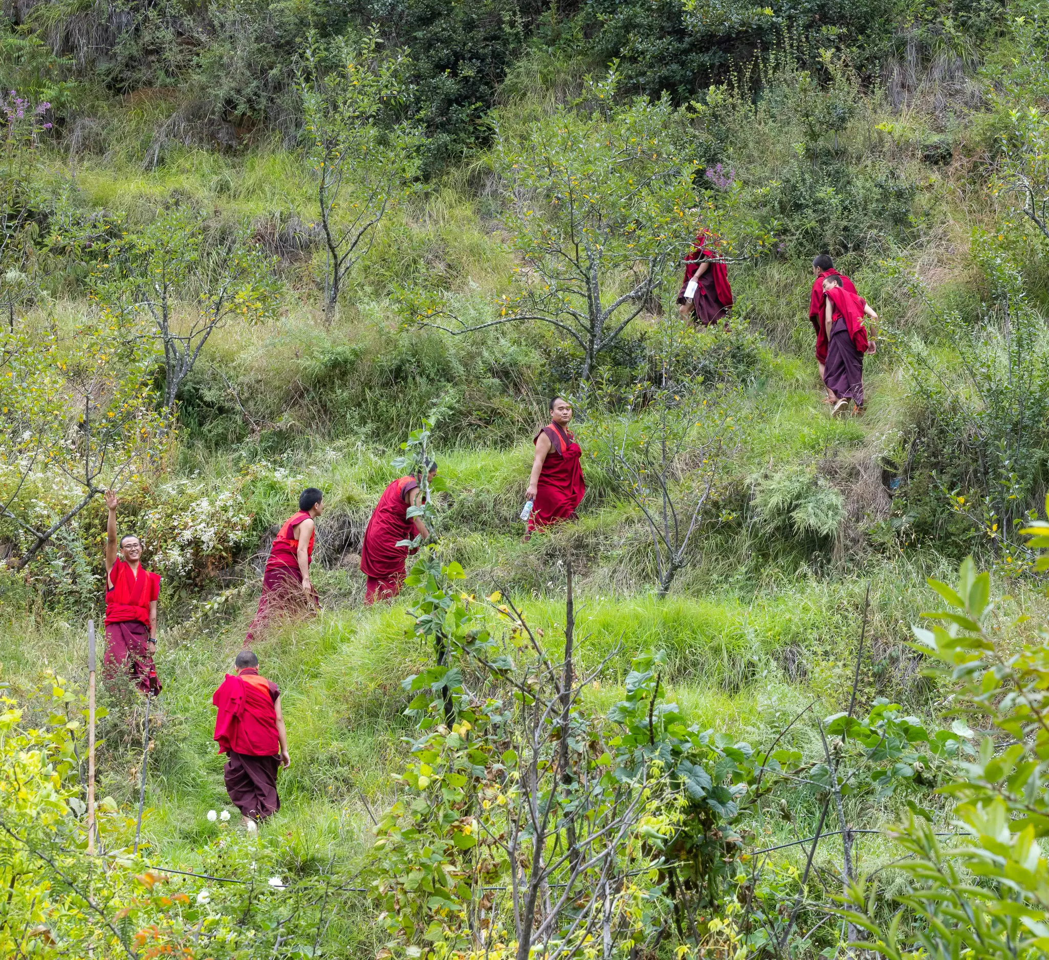 For the inauguration of the Trans Bhutan Trail, monks and ministers took to the paths. © Ken Spence