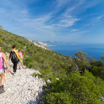 Hikers follow a stony pathway through coastal scrubland down towards a beach.
