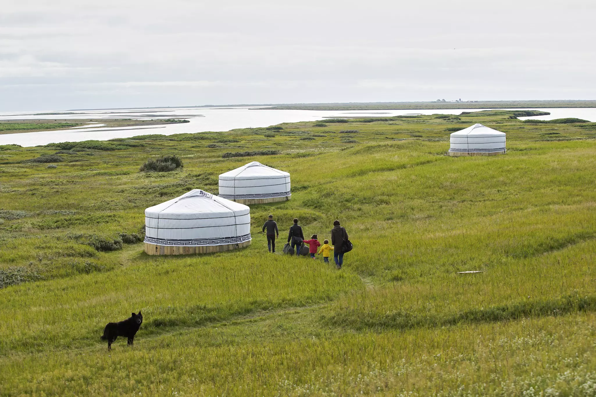 People walk through grass toward one of three yurts.