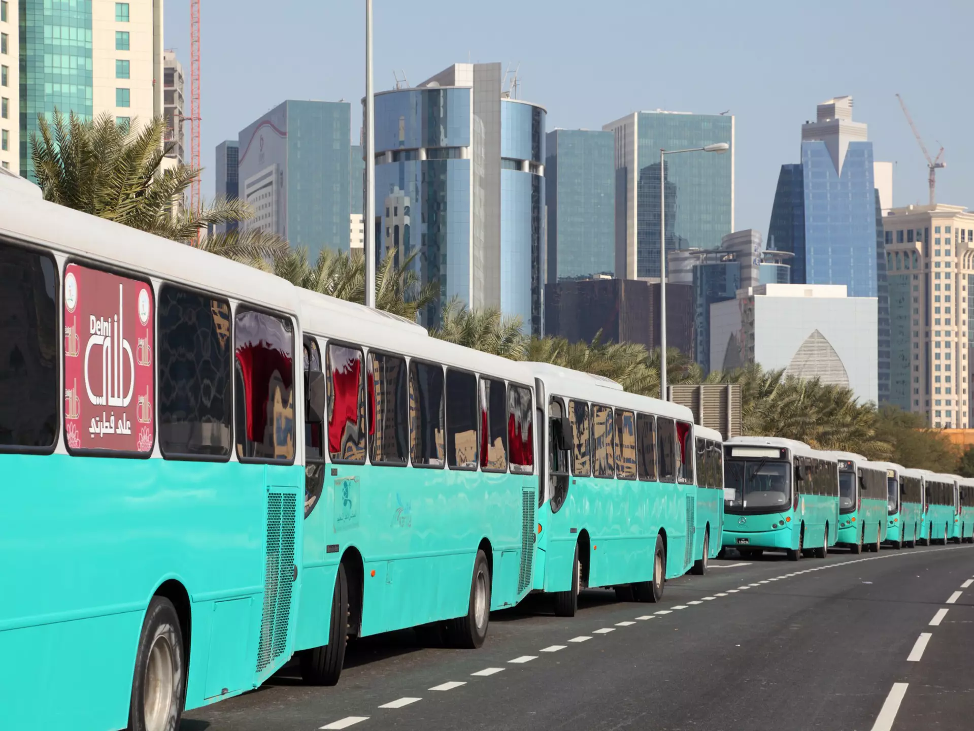 A line of turquoise buses line up along the Corniche of Doha at the Qatar National Day