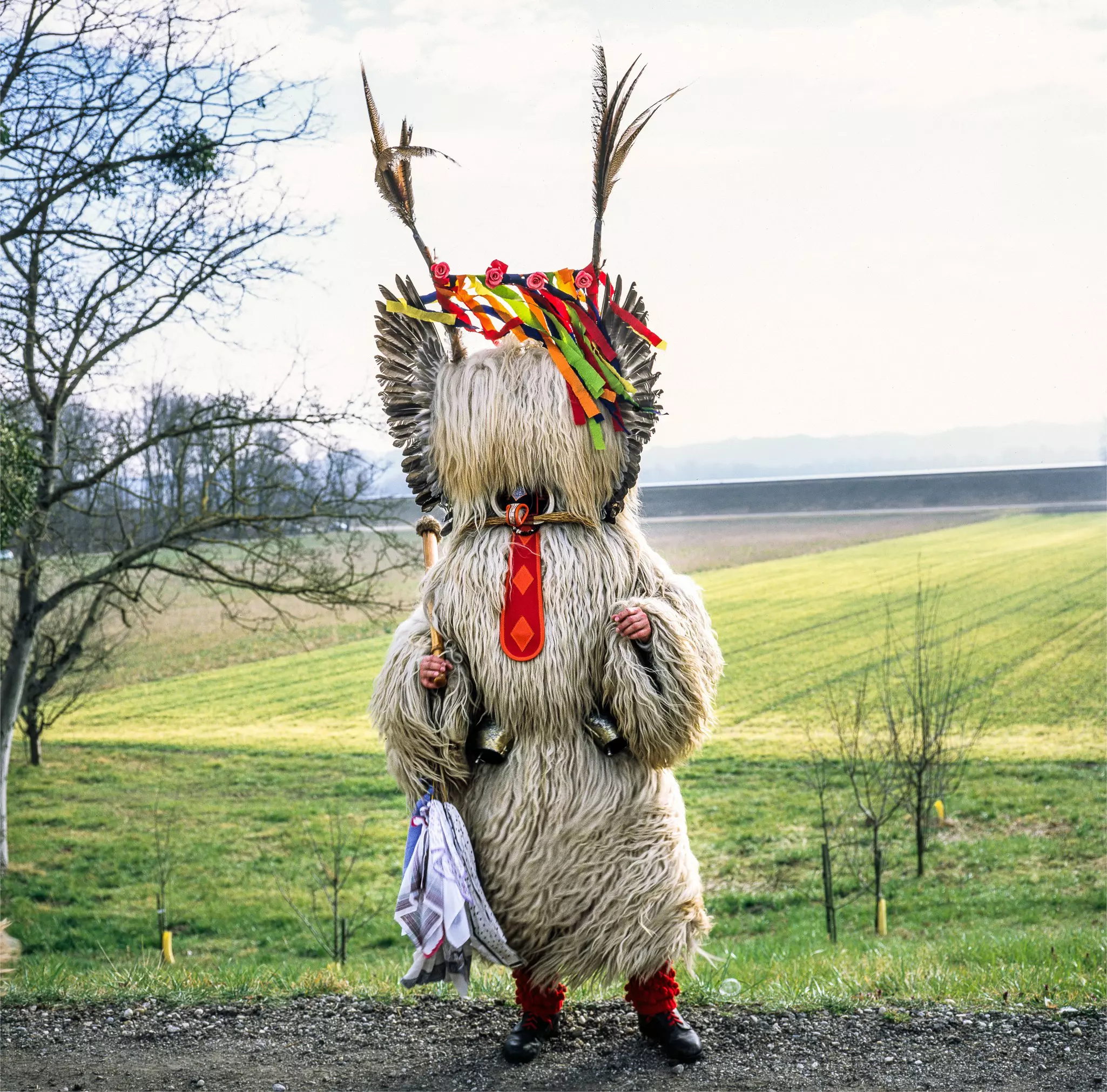 A person completely covered by a costume of long fur with a red tie and multicolored ribbons stands by a green field.