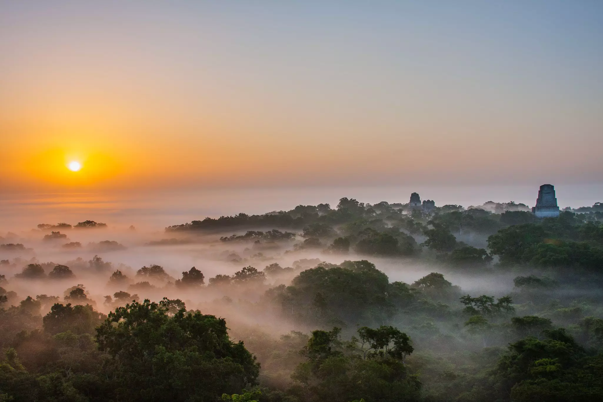 Sunrise over a foggy jungle canopy in Guatemala, with the towers of Maya structures rising above the tree line.