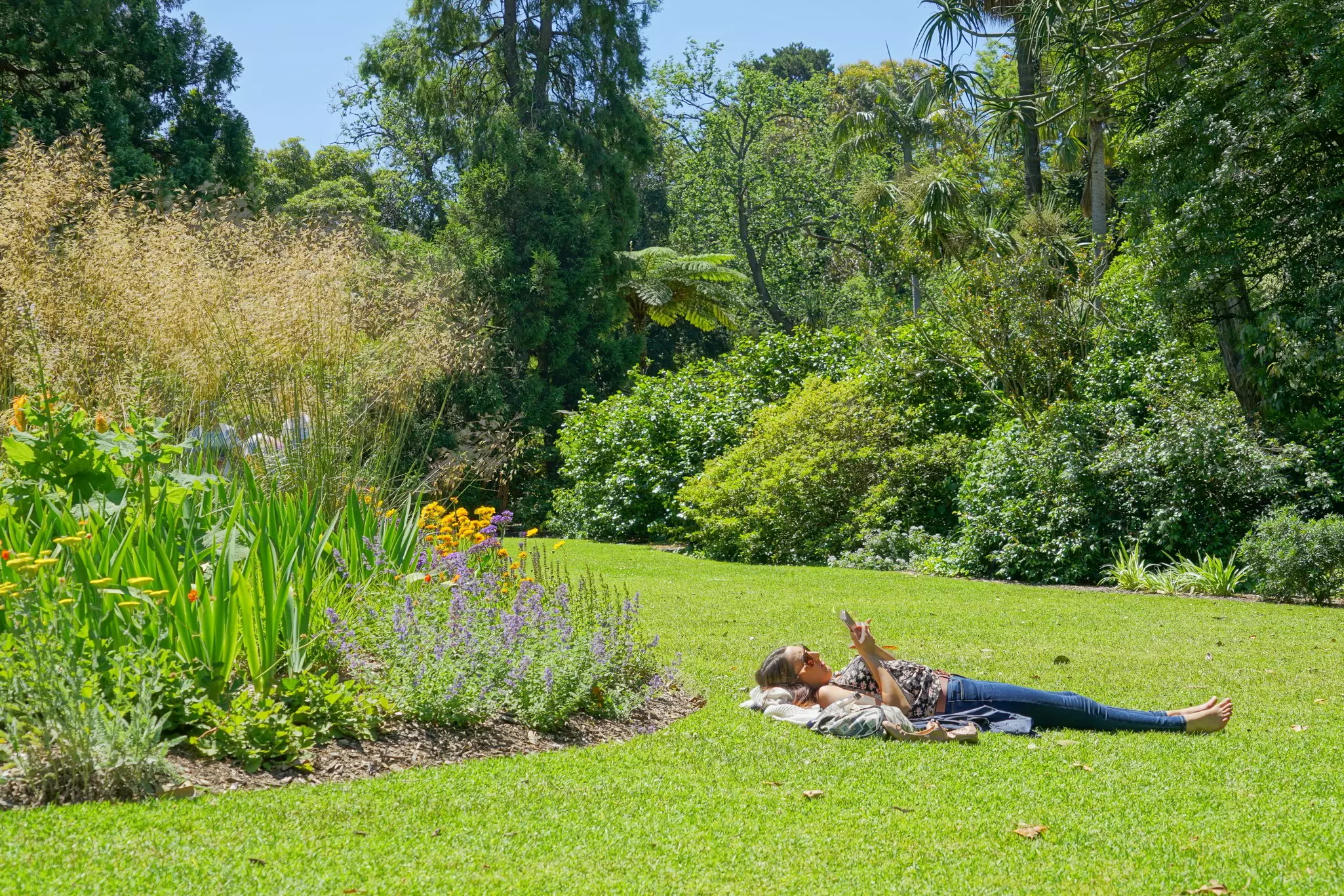 A woman enjoys the sunshine on the grass at the Royal Botanic Gardens in Melbourne, Australia.