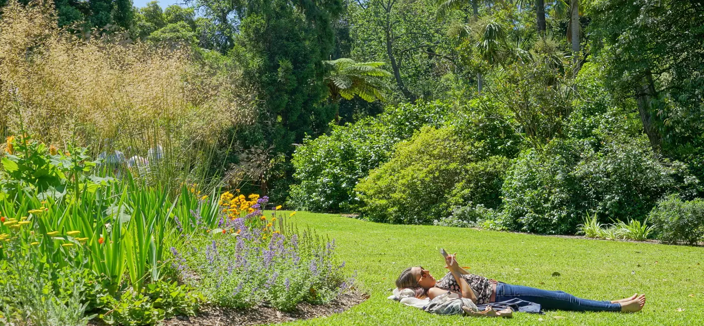 A person reclining on a green lawn near a flower bed with colorful blooms.