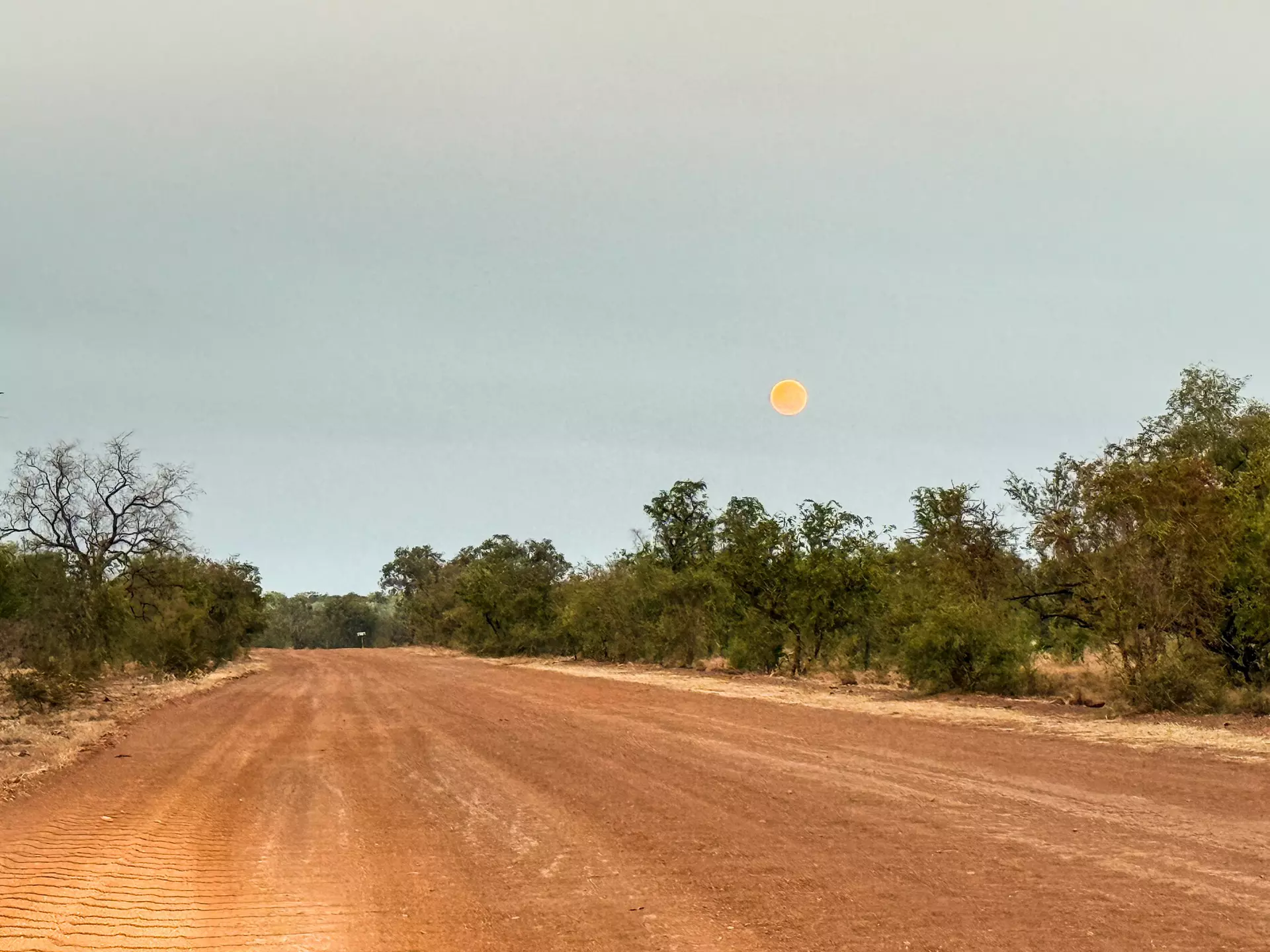 Mornington
Full moon setting over Fairfield Leopold Downs Road at the Gibb River Road junction, , West Kimberley