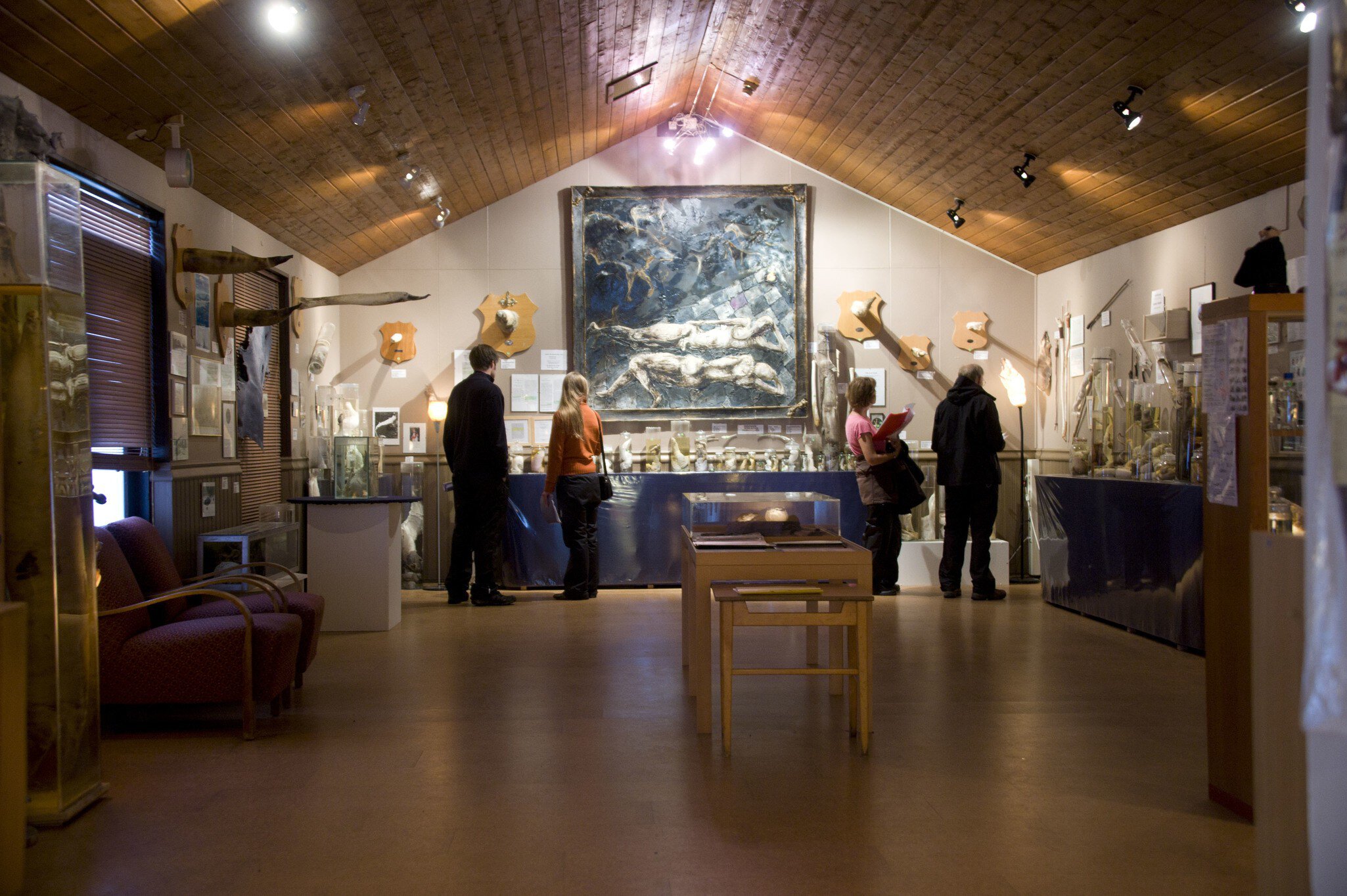 TO GO WITH AFP STORY BY Nina LARSON  .People visit Iceland's Phallological Museum on June 28, 2011 in Husavik. From gigantic whale penises to speck-sized field mouse testicles and lampshades made from bull scrotums, Iceland's small Phallological M...