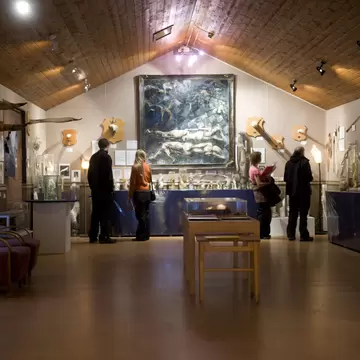 TO GO WITH AFP STORY BY Nina LARSON  .People visit Iceland's Phallological Museum on June 28, 2011 in Husavik. From gigantic whale penises to speck-sized field mouse testicles and lampshades made from bull scrotums, Iceland's small Phallological M...