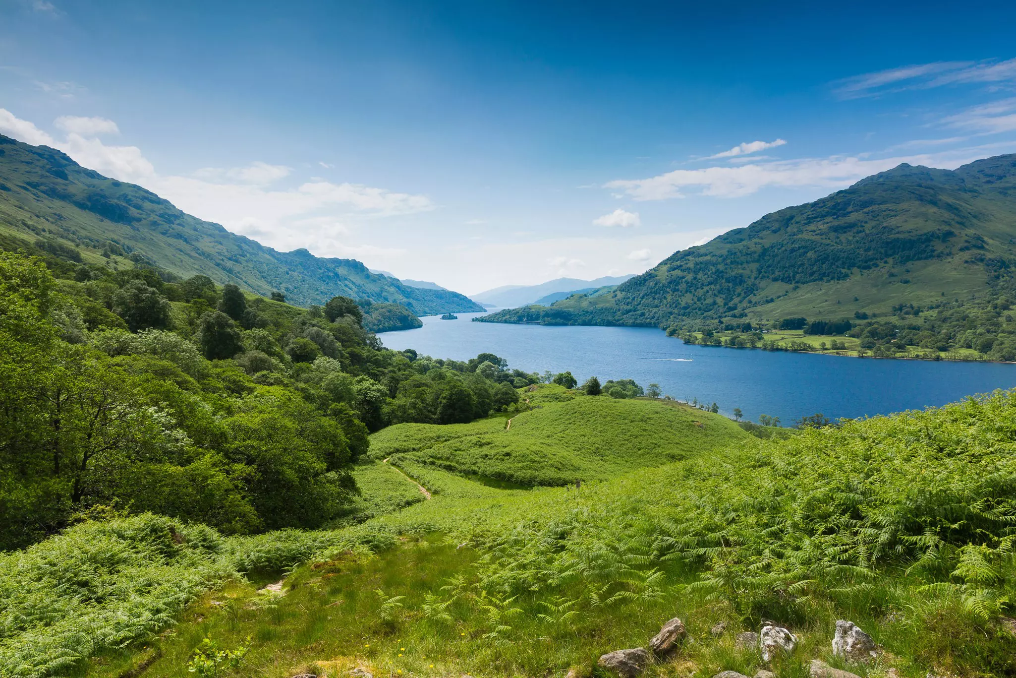 A path through green ferns with Loch Lomond on the West Highland Way near Inversnaid, Scotland.