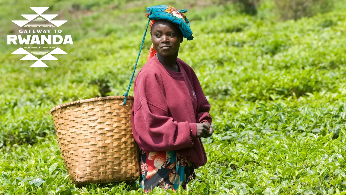 Rwanda’s story is one of ambition, resiliency, and astounding regeneration in the face of tragedy © Getty Images; Illustration by Dustin Johnson / Lonely Planet