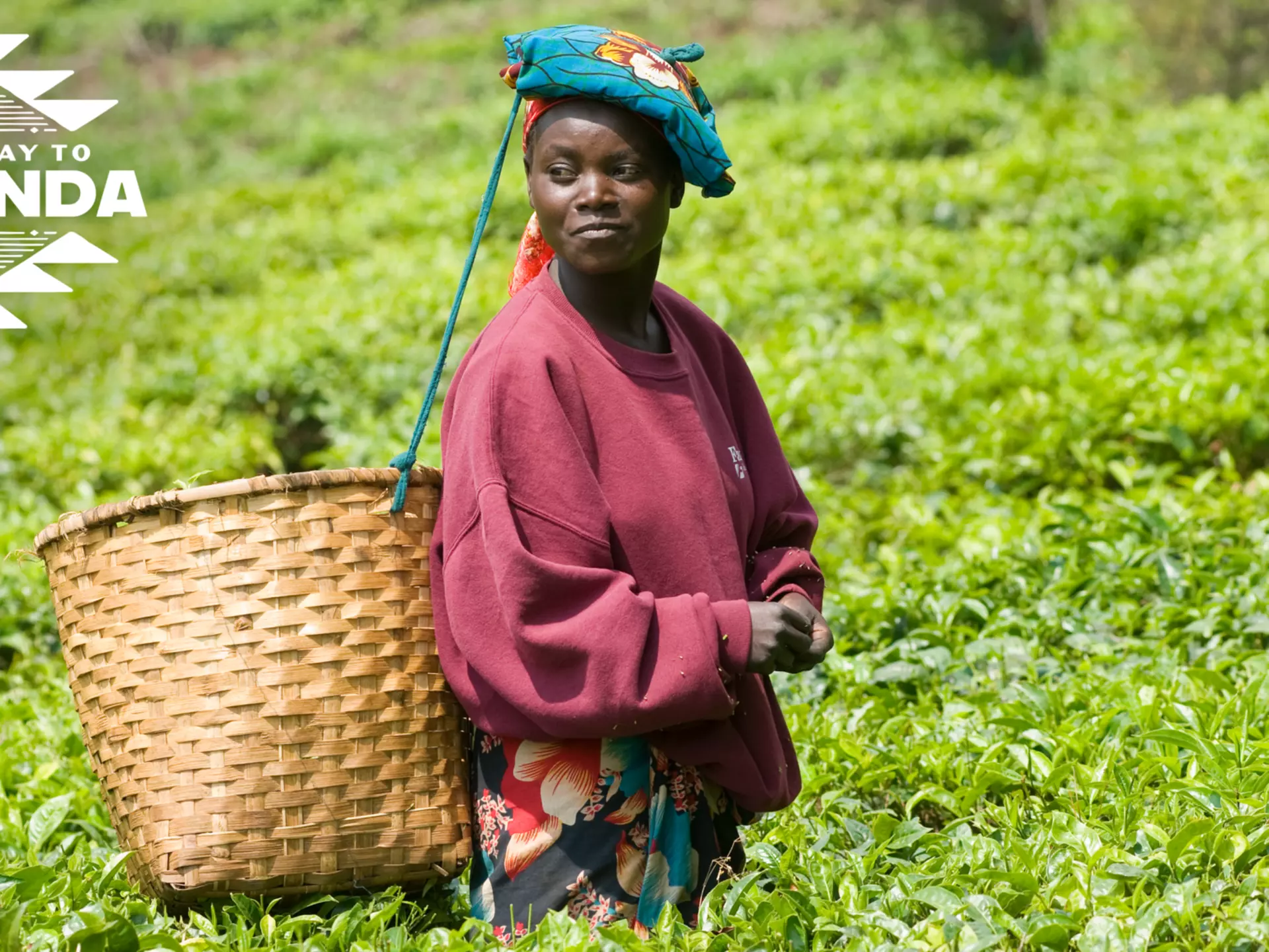 Rwanda’s story is one of ambition, resiliency, and astounding regeneration in the face of tragedy © Getty Images; Illustration by Dustin Johnson / Lonely Planet