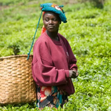 Rwanda’s story is one of ambition, resiliency, and astounding regeneration in the face of tragedy © Getty Images; Illustration by Dustin Johnson / Lonely Planet