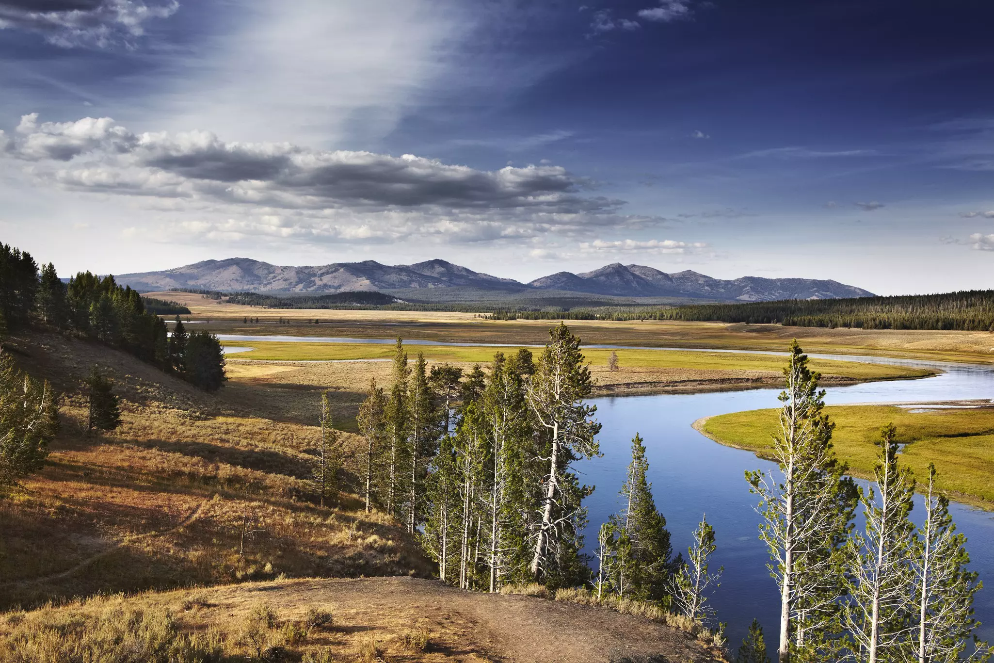 Yellowstone River in the Hayden Valley.