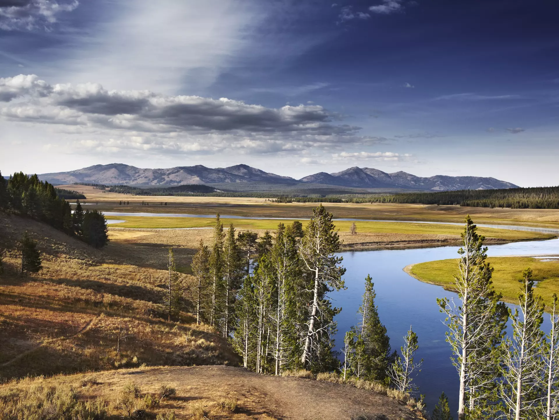 Yellowstone River in the Hayden Valley.