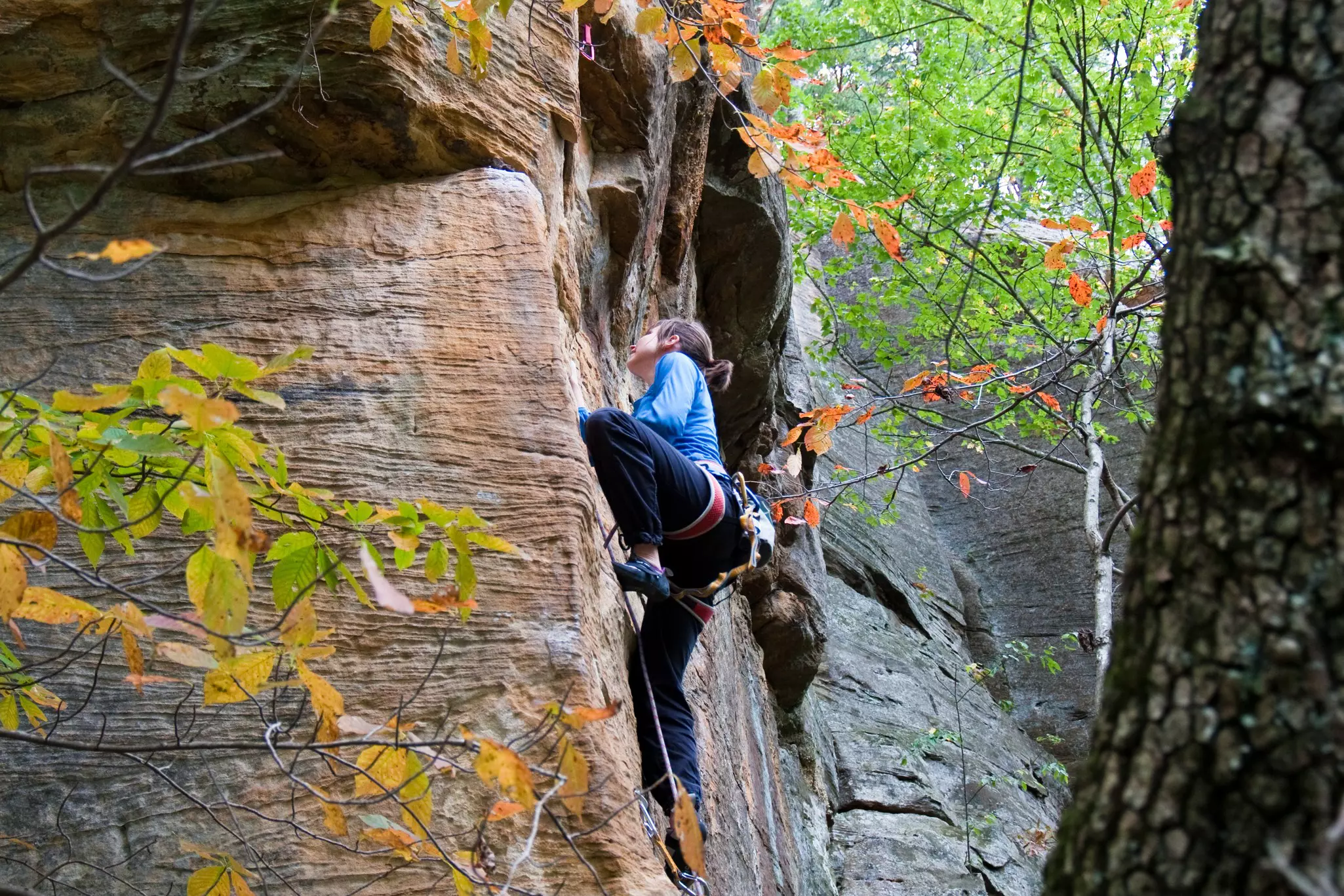 A rock climber ascends the face of a gorge. The green and orange leaves of trees can be seen surrounding the rock