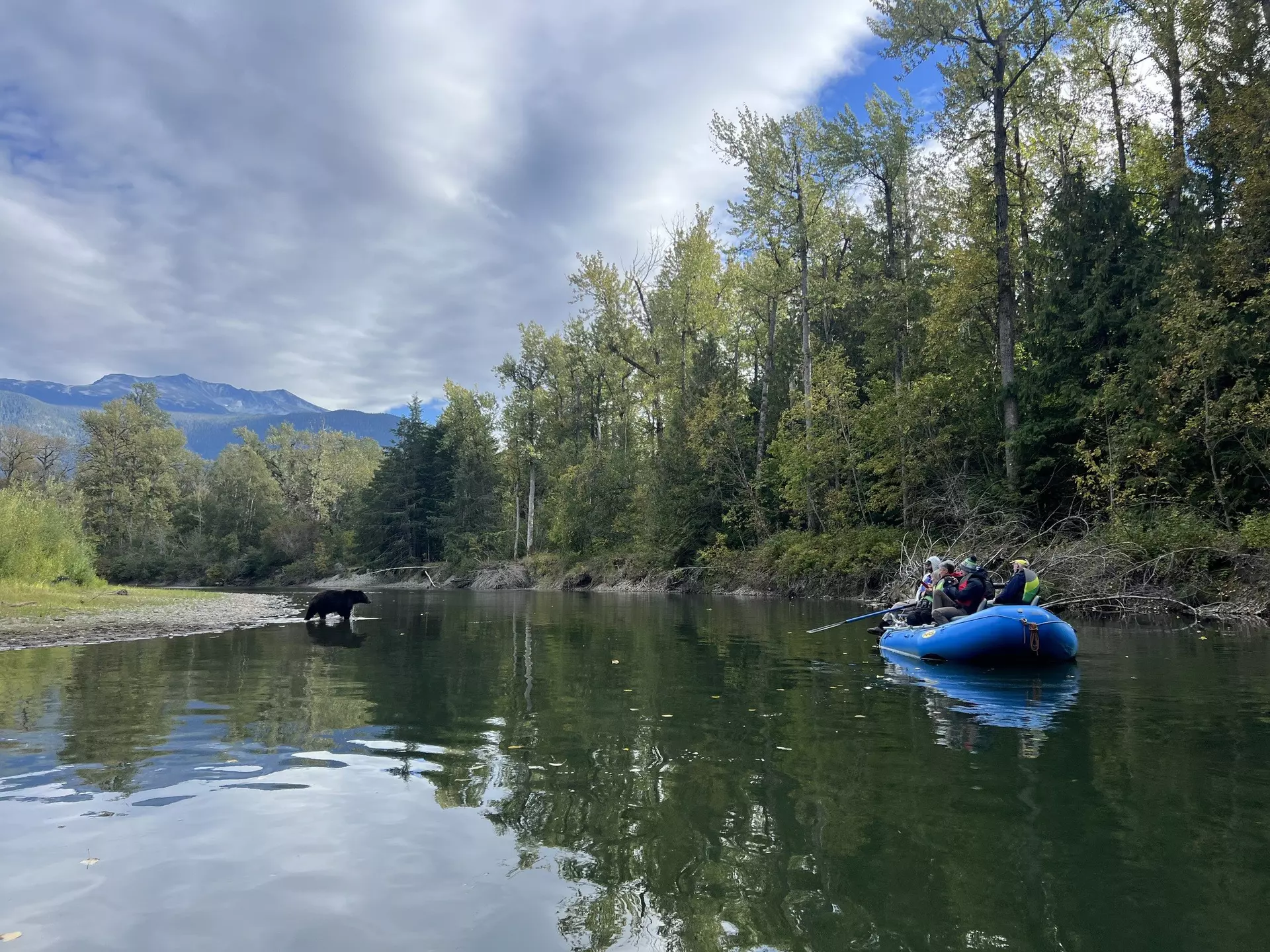 Go see the fat bears in the Great Bear Rainforest. Jessica Lockhart for Lonely Planet
