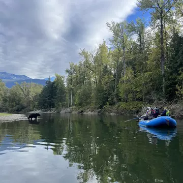 Go see the fat bears in the Great Bear Rainforest. Jessica Lockhart for Lonely Planet