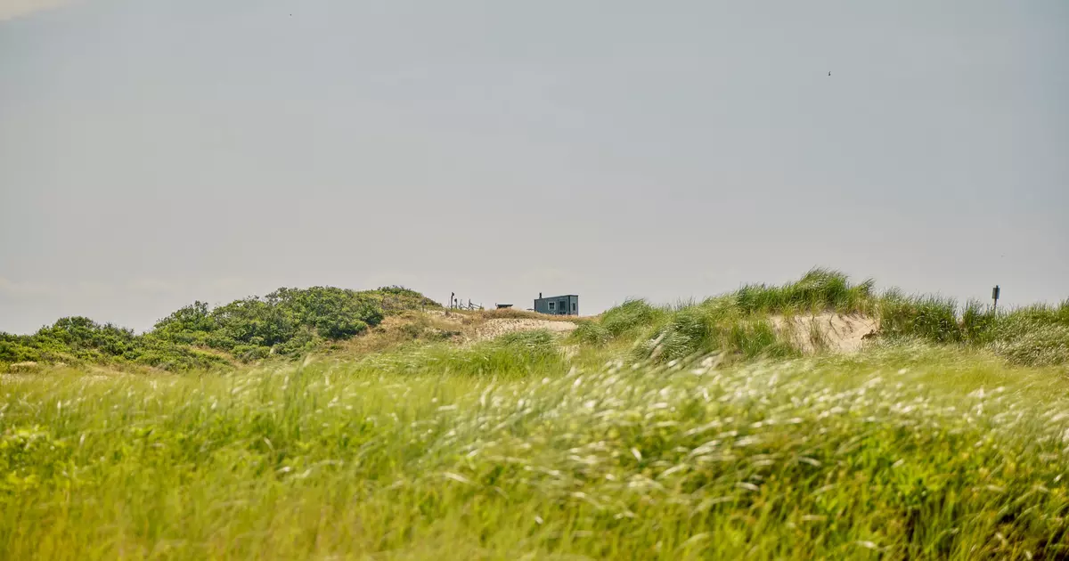 A first-time guide to Cape Cod - Lonely Planet