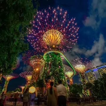 People look up at a series of glass towers illuminated with bright lights after dark.
