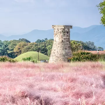 A stone tower at the far edge of a field of pink Muhly grass