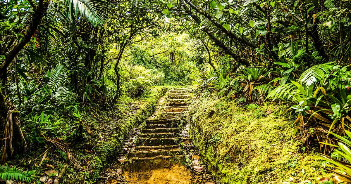 A first-time guide to Dominica - Lonely Planet