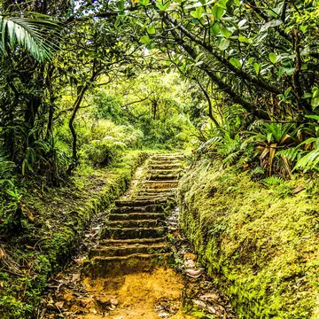 Wild nature – not beaches – is the main attraction in the Caribbean island of Dominica. Joseph Thomas Photography/Shutterstock