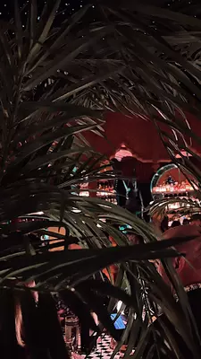 Looking through ferns at a red-lit bar.