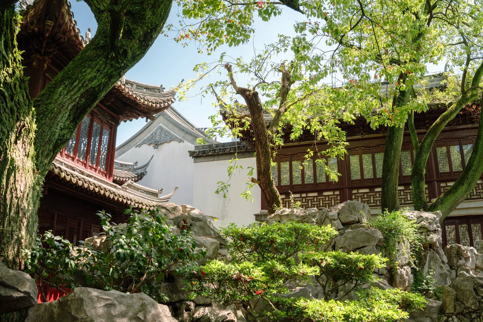 Traditional architecture and green, leafy trees at Yuyuan Garden