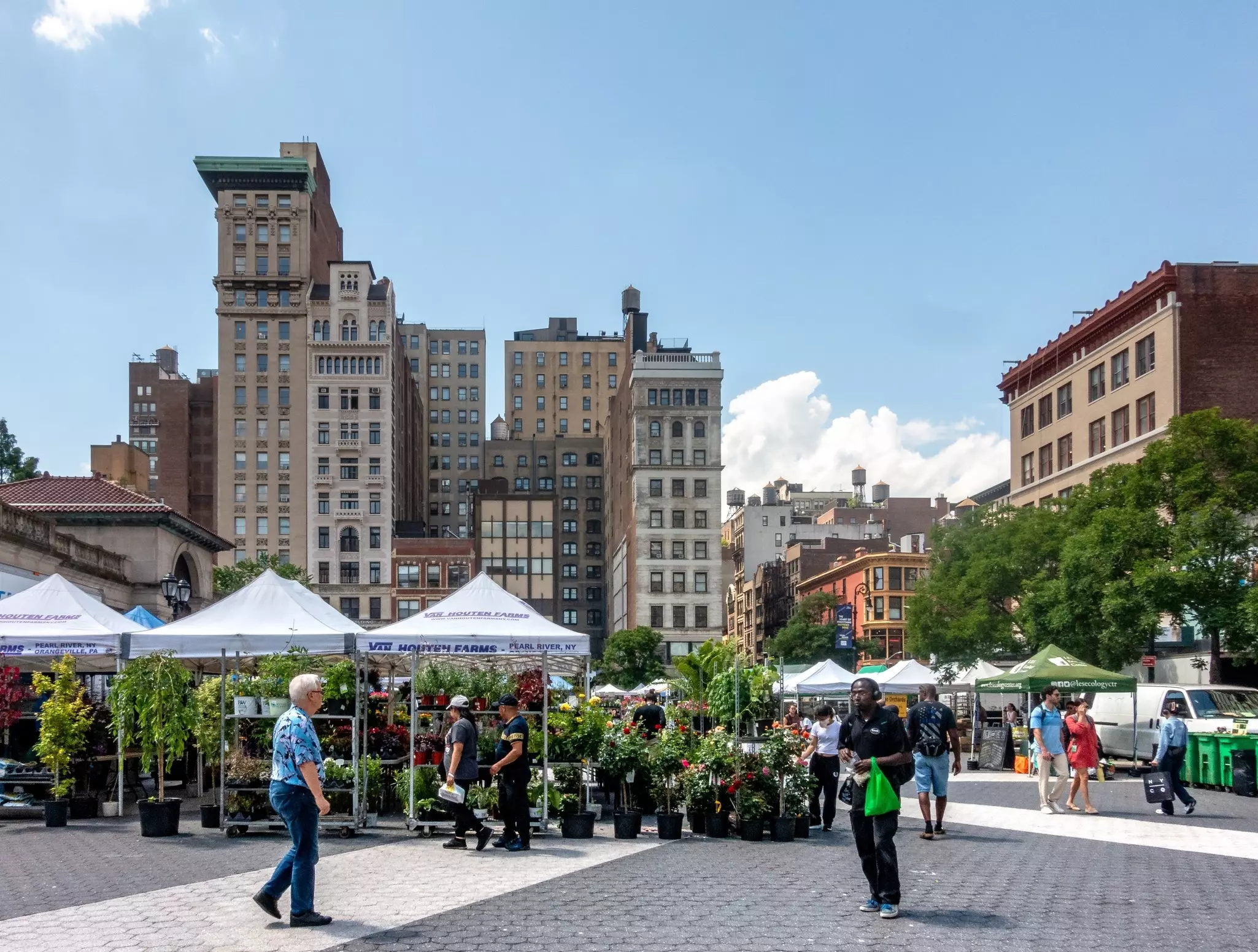 People milling around at Union Square Park's Farmers Market.