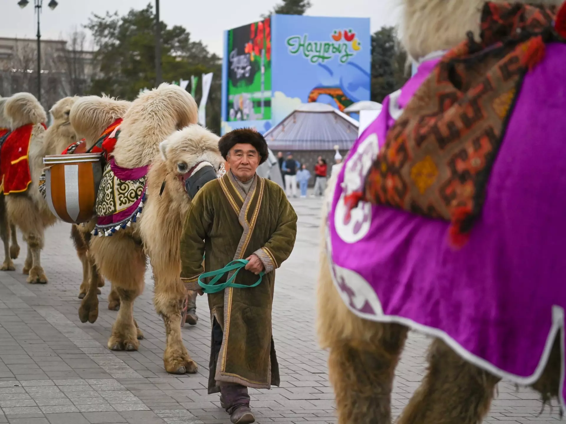 A man leads a camel as part of a Nauryz celebration, Almaty, Kazakhstan