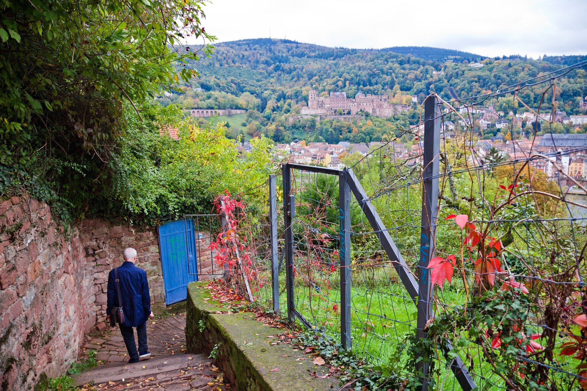 A man walking down the Heidelberg Philosopher's Walk (Philosophenweg) in Heidelberg city, Germany.