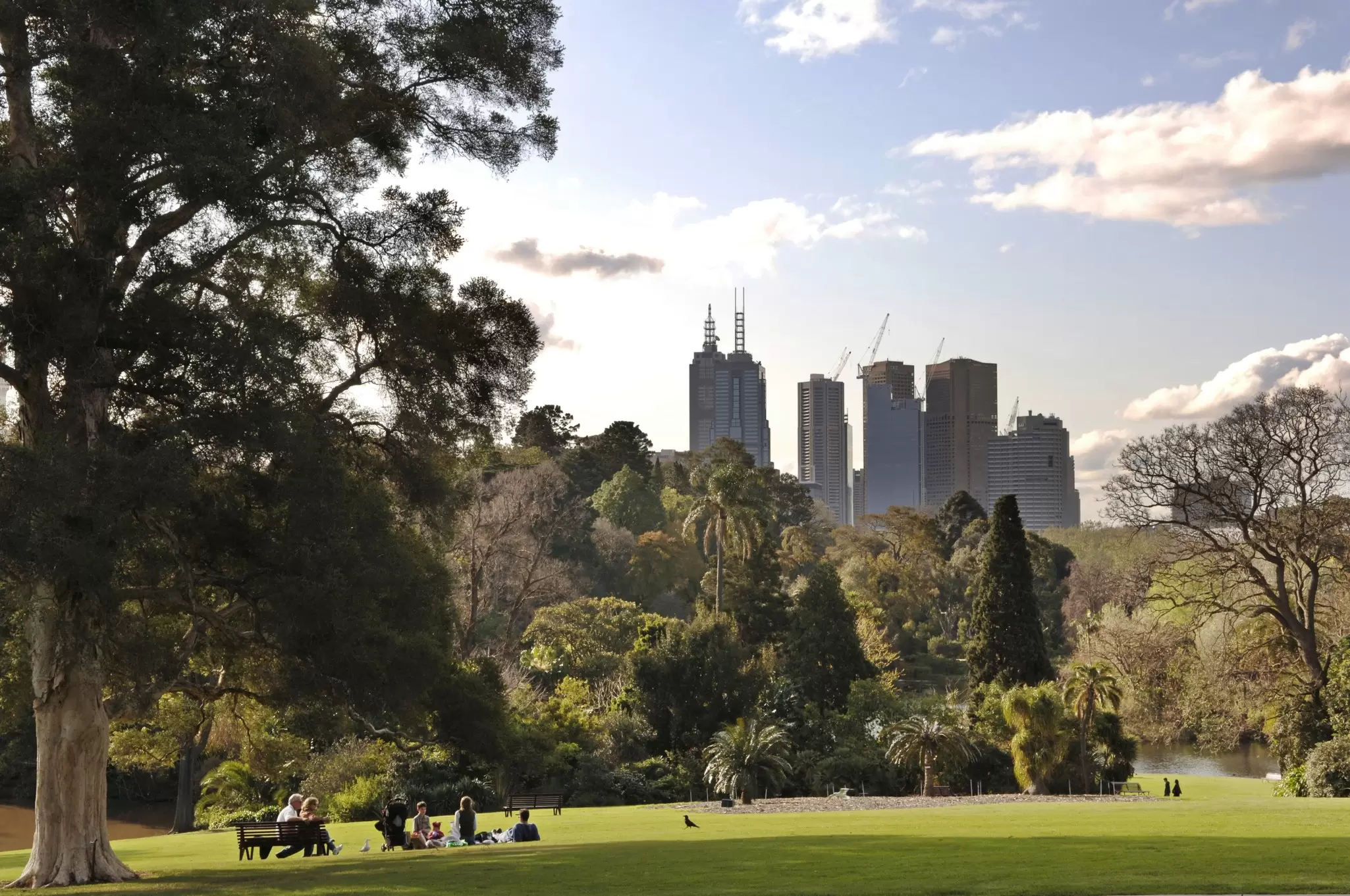 View of the Melbourne skyline from the lush Royal Botanic Gardens. Melbourne, Australia.