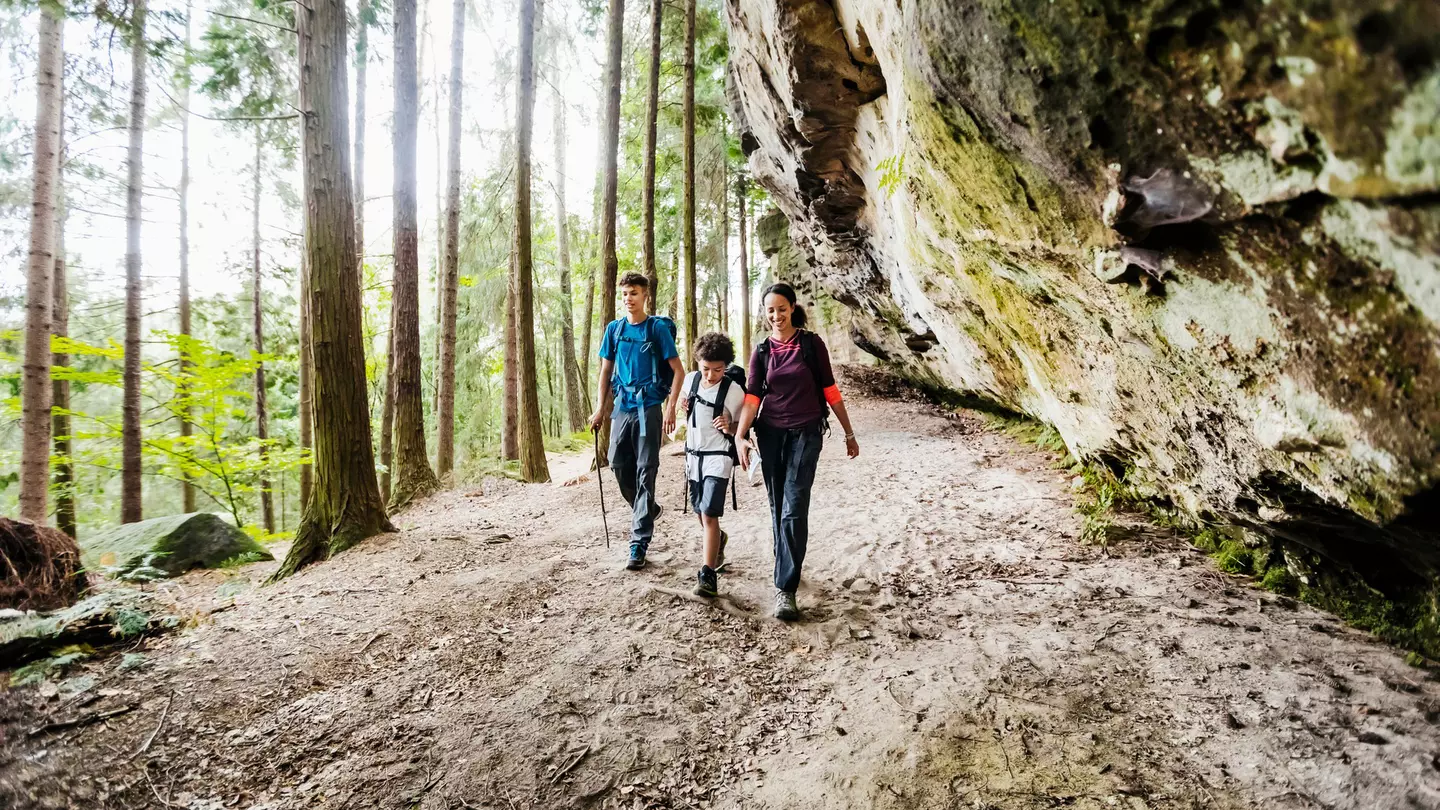 From exploring national parks to lounging by a lake, plan your family vacation in Germany with these top activities for all ages © Tom Werner / Getty Images