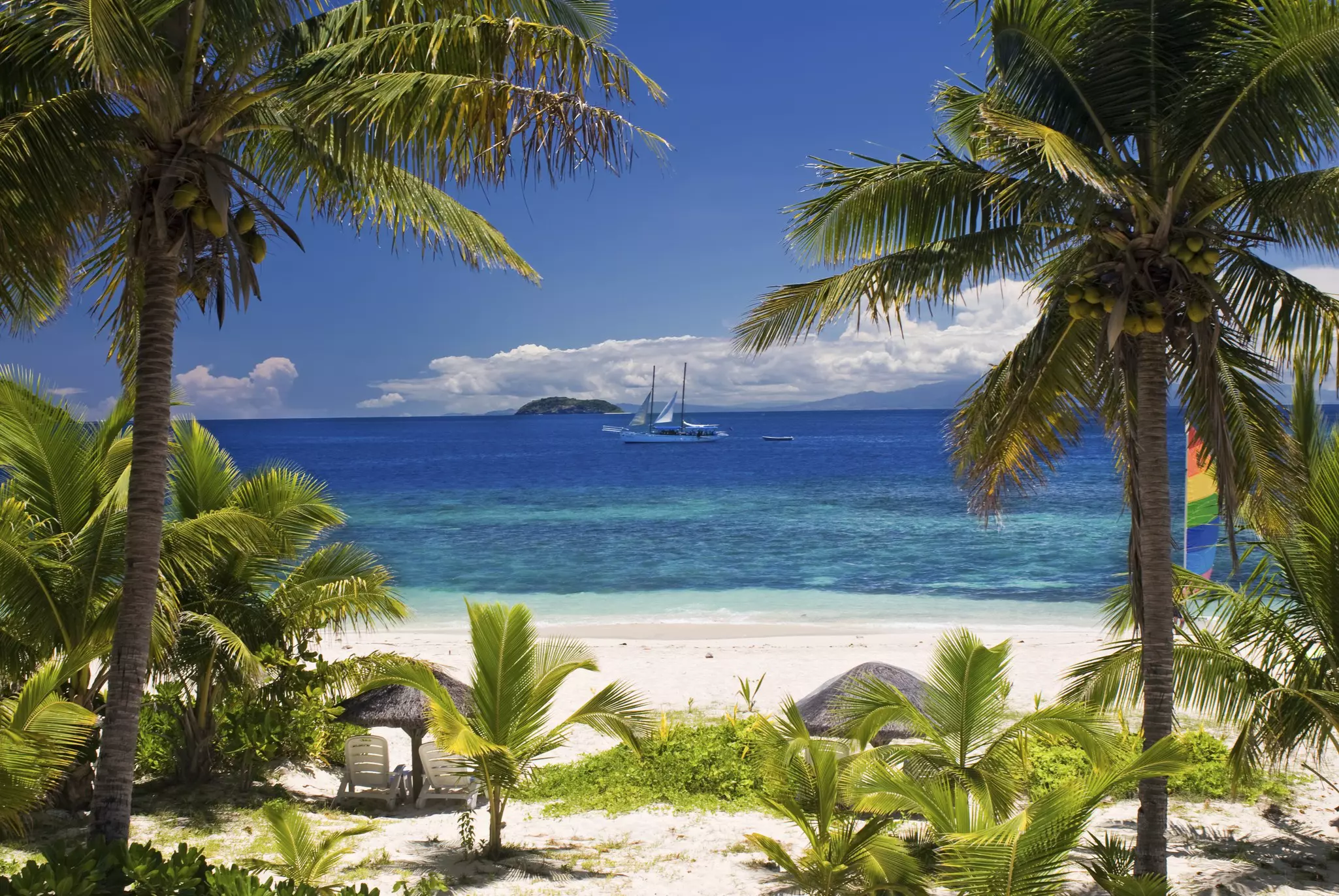 A sail boat just off the sandy shores of a palm tree-lined beach.