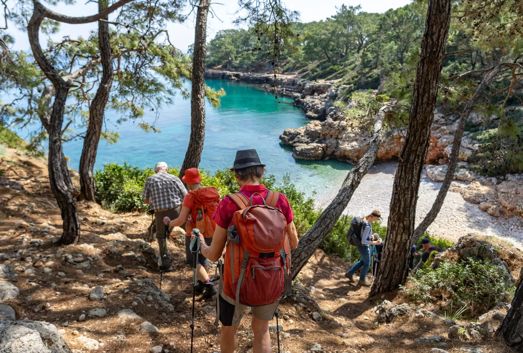 Four hikers with sticks walk between the trees along a bright blue coastline. 