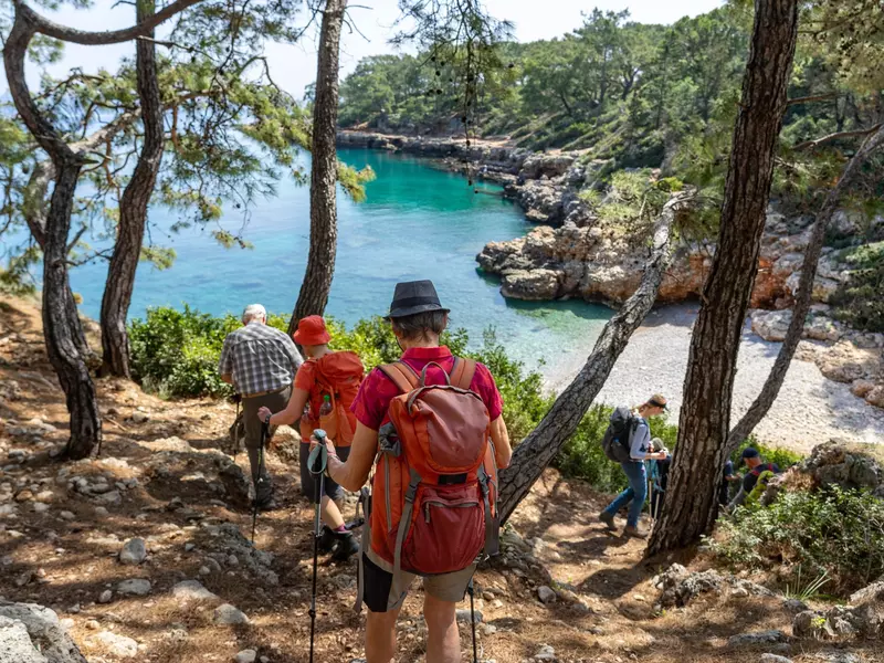 Four hikers with sticks walk between the trees along a bright blue coastline. 