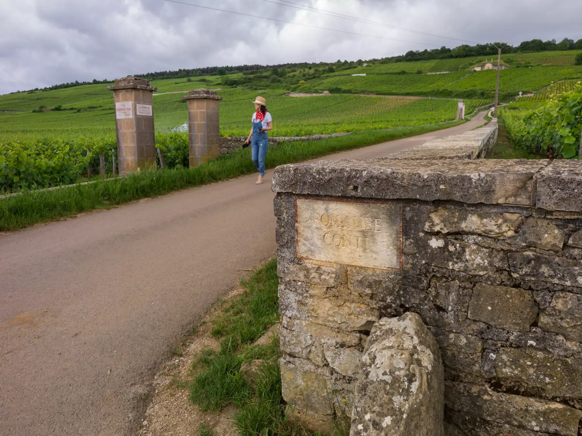 The world's famous Romanee conti vineyard with a vineyard marker on the wall in Burgundy, France.
544505254
romanee-conti, grand cru